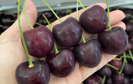 Cherry nhập khẩu (đa xuất xứ)