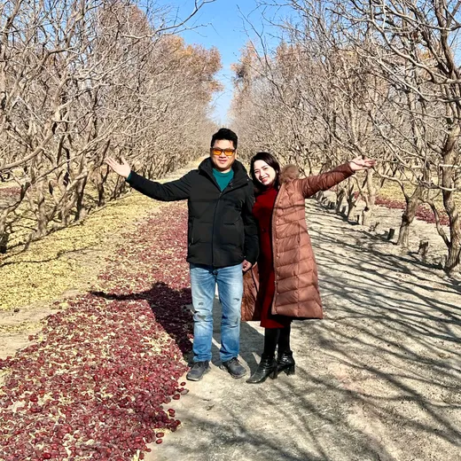 Thắng Anh tại vườn táo đỏ Hòa Điền, Tân Cương — táo đỏ phơi khô thật ngoài vườn