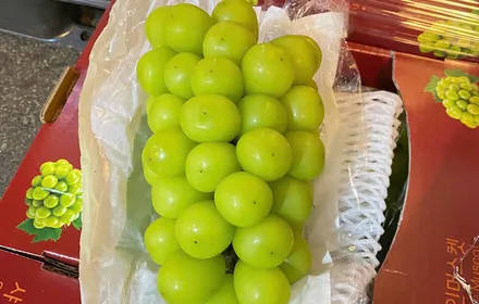Nho mẫu đơn (Shine Muscat)
